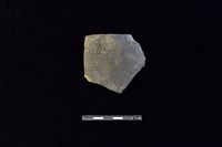 藏品(陶片)的圖片